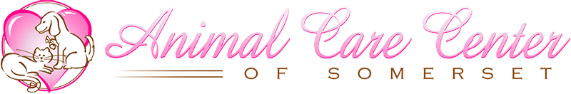 Animal Care Center of Somerset